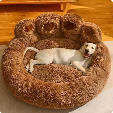 BearHug™