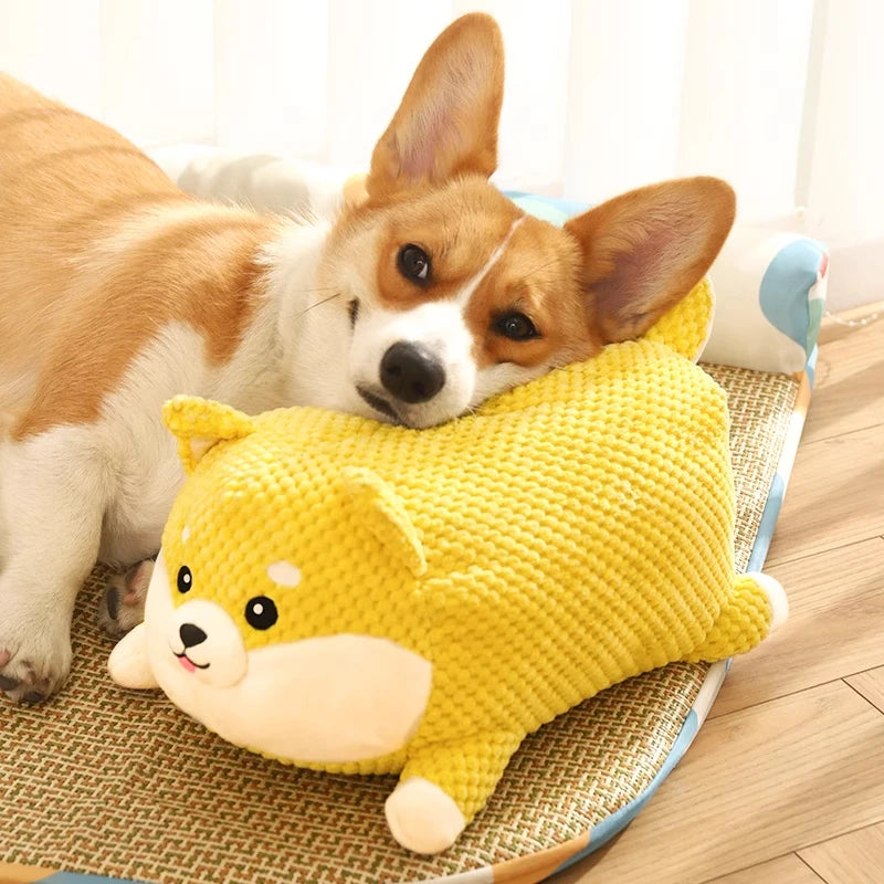 ShibaSqueak™